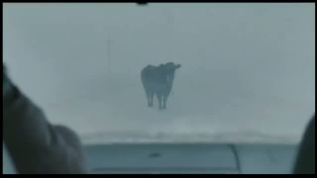 New in Town 5. Fragmanı