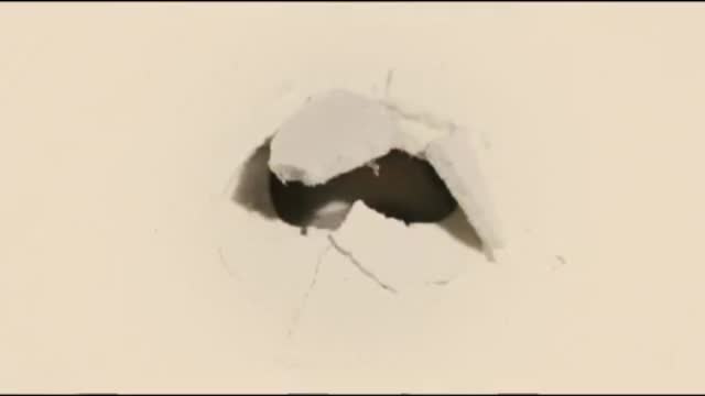 The Crimson Wing: Mystery Of The Flamingos 4. Fragmanı