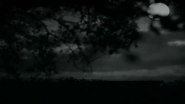 Vivacious Lady 2. Fragmanı