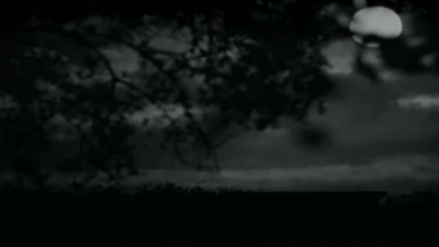 Amazon Women On The Moon 2. Fragmanı