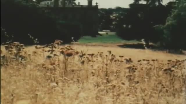 Picnic At Hanging Rock 2. Fragmanı