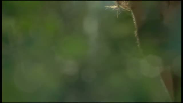 The Lost Future 1. Fragmanı