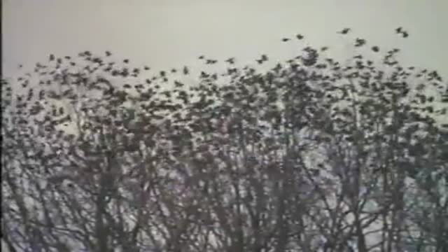 The Dark Half 2. Fragmanı