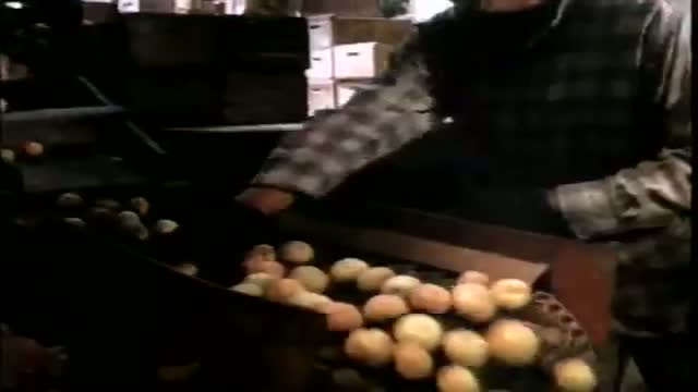 La Bamba 2. Fragmanı