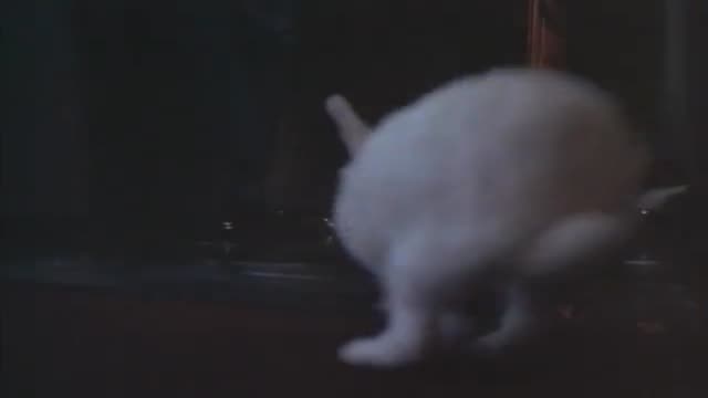 Rough Magic 2. Fragmanı