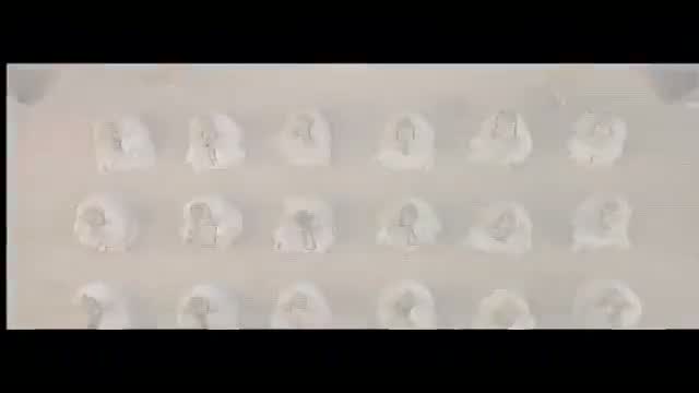 Warriors Of Heaven And Earth 2. Fragmanı