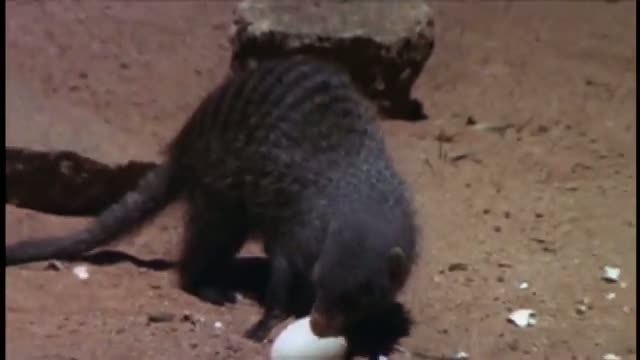 Beautiful People 2. Fragmanı