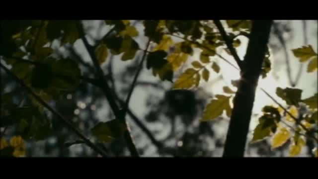 Beautiful 1. Fragmanı