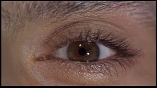 Modesty Blaise 2. Fragmanı