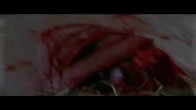 Lightning Bug 2. Fragmanı