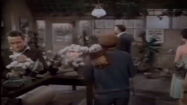 Please Don't Eat My Mother 6. Fragmanı