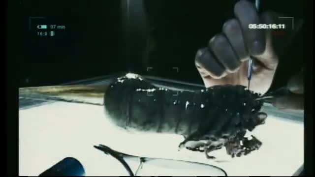 Prime Evil 3. Fragmanı