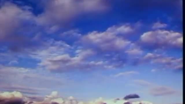 The Stray 2. Fragmanı