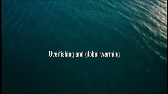 Wild Ocean 3d 2. Fragmanı