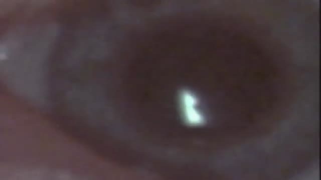 Vampire Hunter 1. Fragmanı