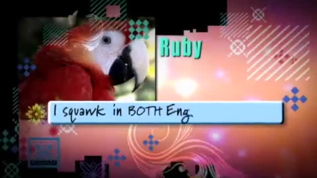 Wizards Of Waverly Place: The Movie 3. Fragmanı