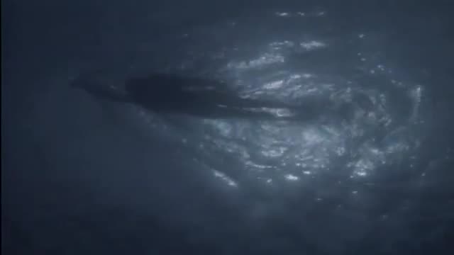 El Ultimo Tiburon 1. Fragmanı