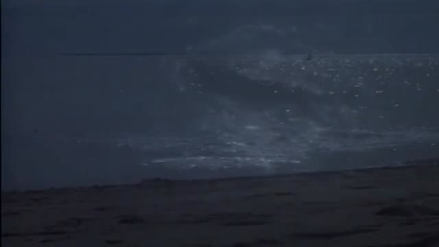 All American Murder 1. Fragmanı