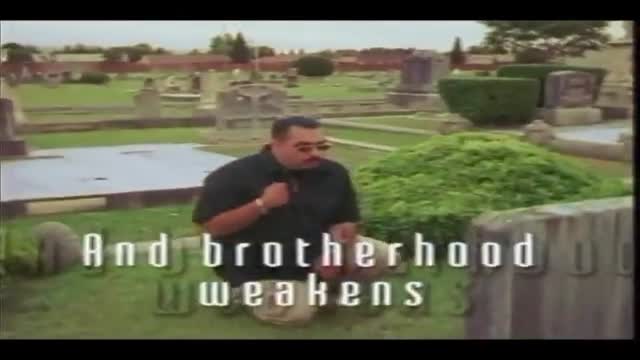 Veteranos 2. Fragmanı