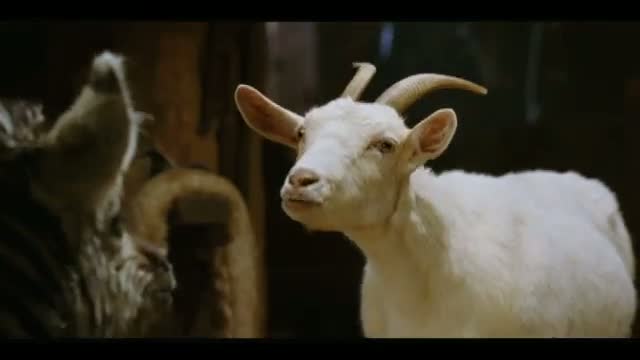 Zig Zag 1. Fragmanı