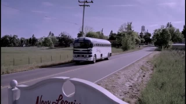 the muppets pig with the froggy