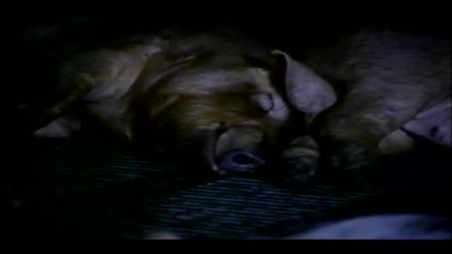 Slaughterhouse 2. Fragmanı