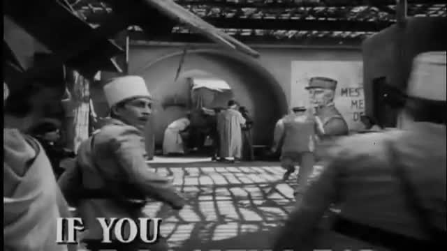 Screwball Hotel 1. Fragmanı