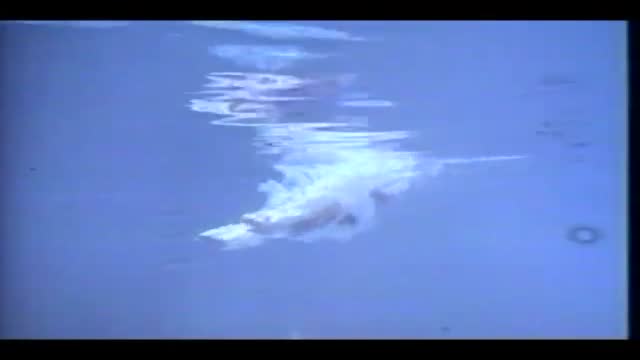 Deceptions 1. Fragmanı