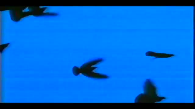 Autoerotica 1. Fragmanı