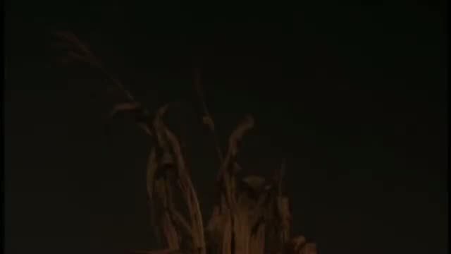 Disciples Of The Crow 2. Fragmanı