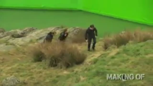 Harry Potter Ve Ölüm Yadigarları Bölüm 2 çekim s