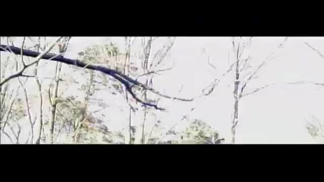 A Director\'s Journey: The Making Of \'red Dragon\' 1. Fragm