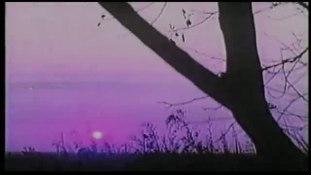 Liao Zhai Yan Tan Xu Ji Zhi Wu Tong Shen 1. Fragmanı