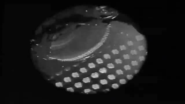 Bacall To Arms 1. Fragmanı