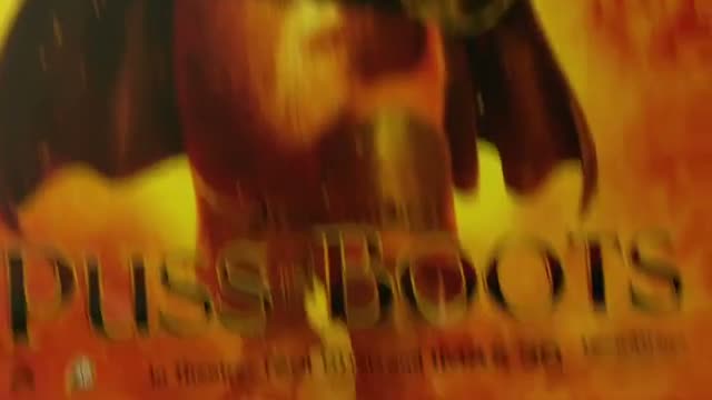 Puss İn Boots kedi galası