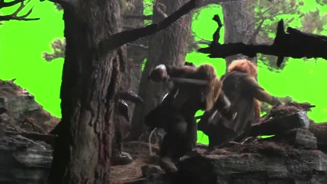 The Hobbit Production Diary 