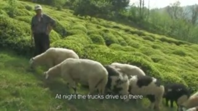 Cennetteki Çöplük fragmanı