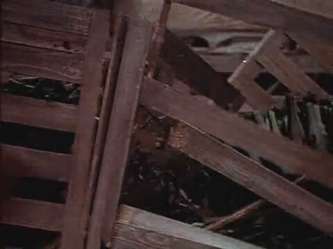 The Boys from Brazil (1978) fragman