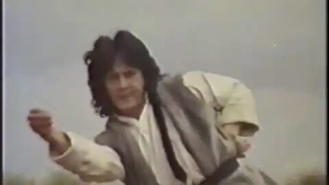 Snake And Crane Arts Of Shaolin