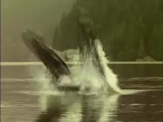 Dünyanın Merkezin Yolculuk (2008) fragman