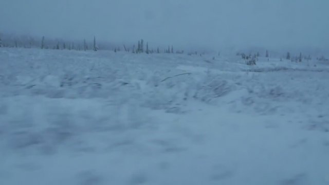 The Frankenstein Theory