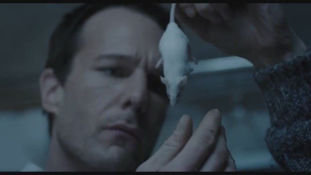 Errors Of The Human Body