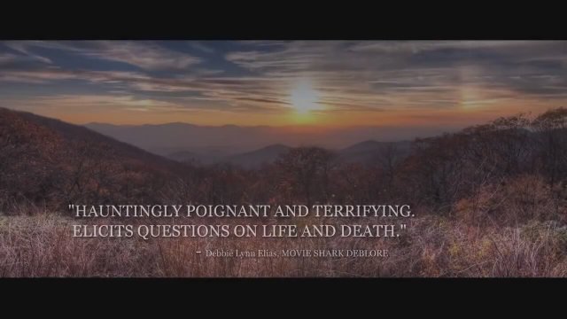 I Will Follow You Into the Dark