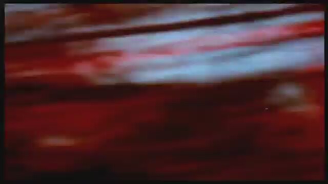 Not Another Teen Movie