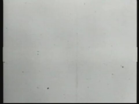 Things To Do In Denver When You're Dead