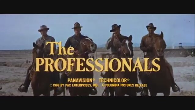 The Professionals