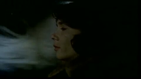 Der Siebente Kontinent