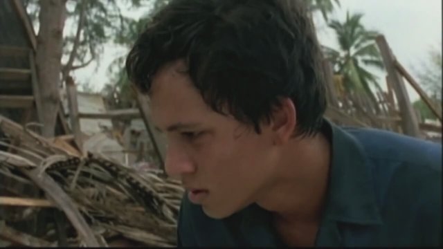 Tsunami: The Aftermath