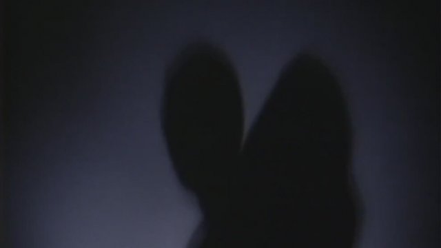 Stop Making Sense Fragman