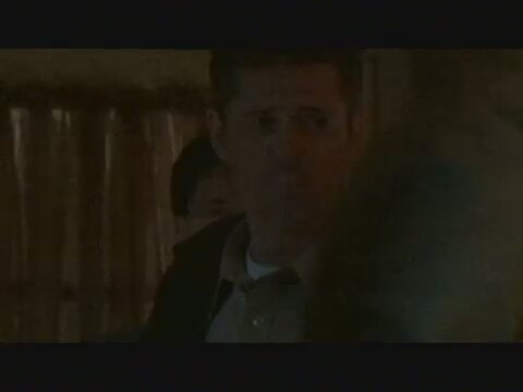 Katil Arılar Fragman